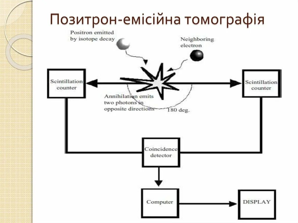Что такое позитрон. Позитрон. позитрон терминалы. pozitron схема. позитрон буква.