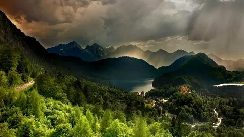 Alps forest