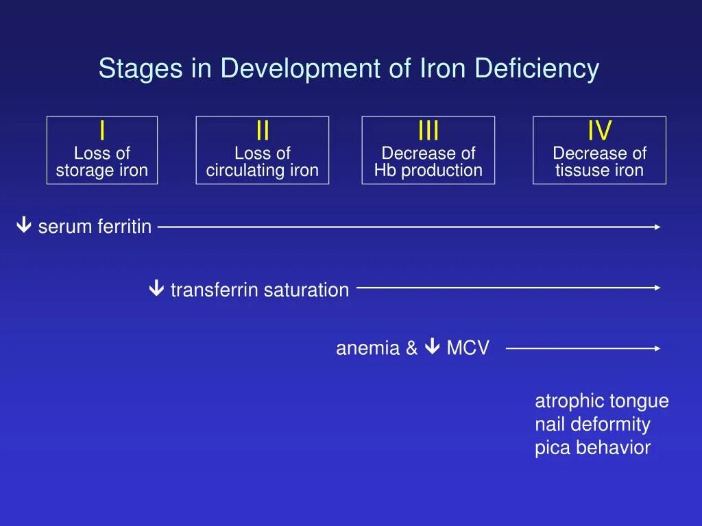 Развитие щитовидной железы. Iron development. Iron development. Iron development. Рамка архитектура.