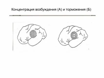 Концентрация возбуждения