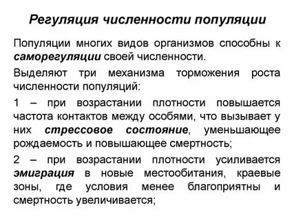 Лабораторная работа 1 механизмы саморегуляции