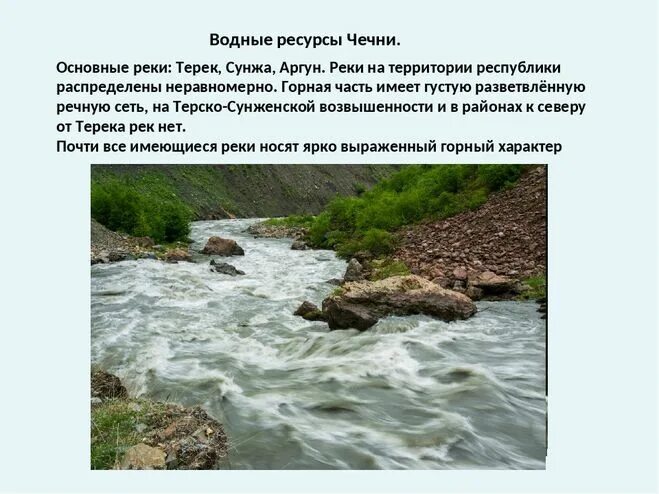 Водные богатства краснодарского края 2 класс. Реки Терек и Сунжа. Река Терек в Чечне. Водные богатства. Разнообразие природы реки проект.