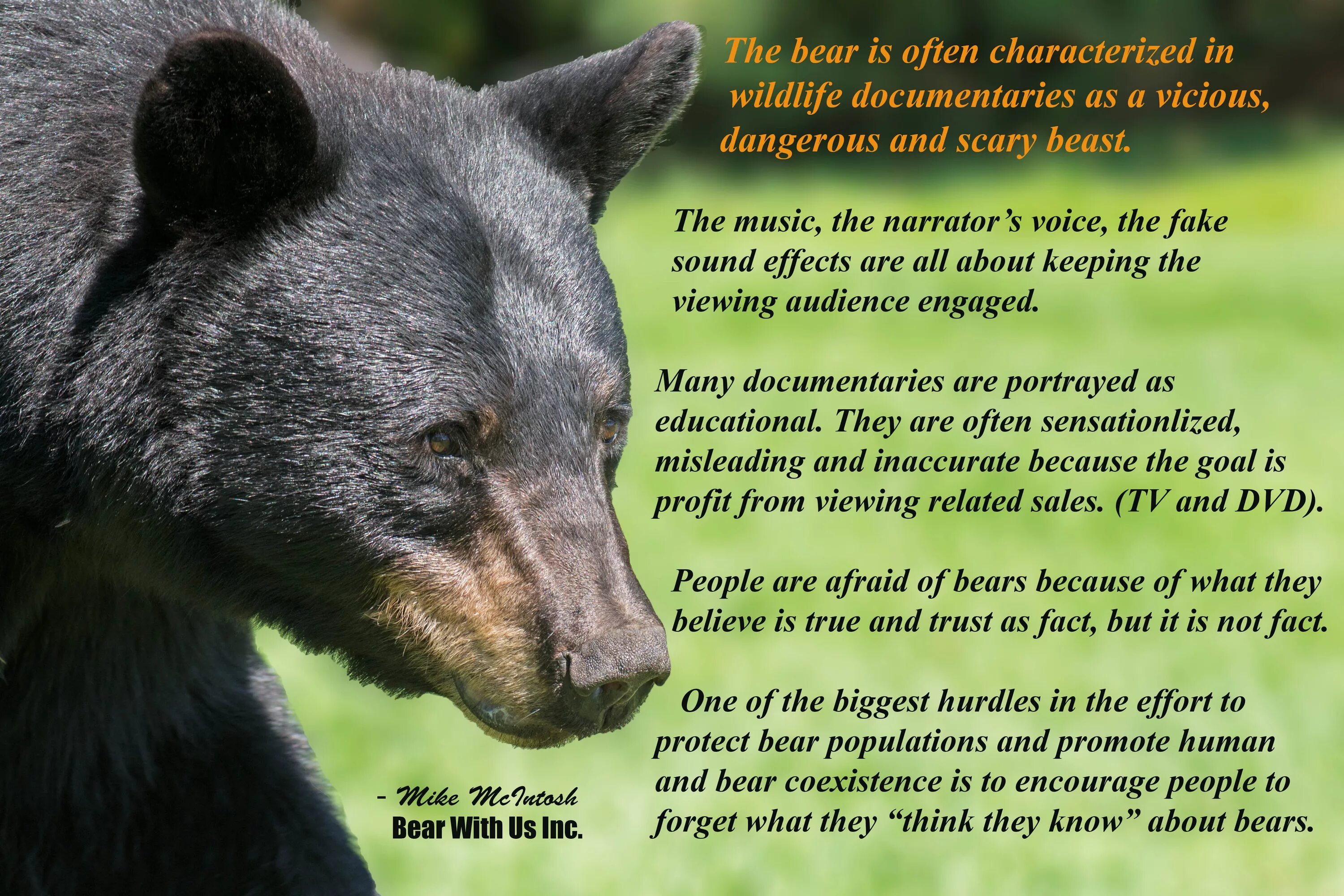 About Bear. Information about Bears. Facts about Bear. Paragraph about Bears. Bear to think