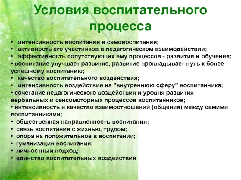Свобода в образовательном процессе