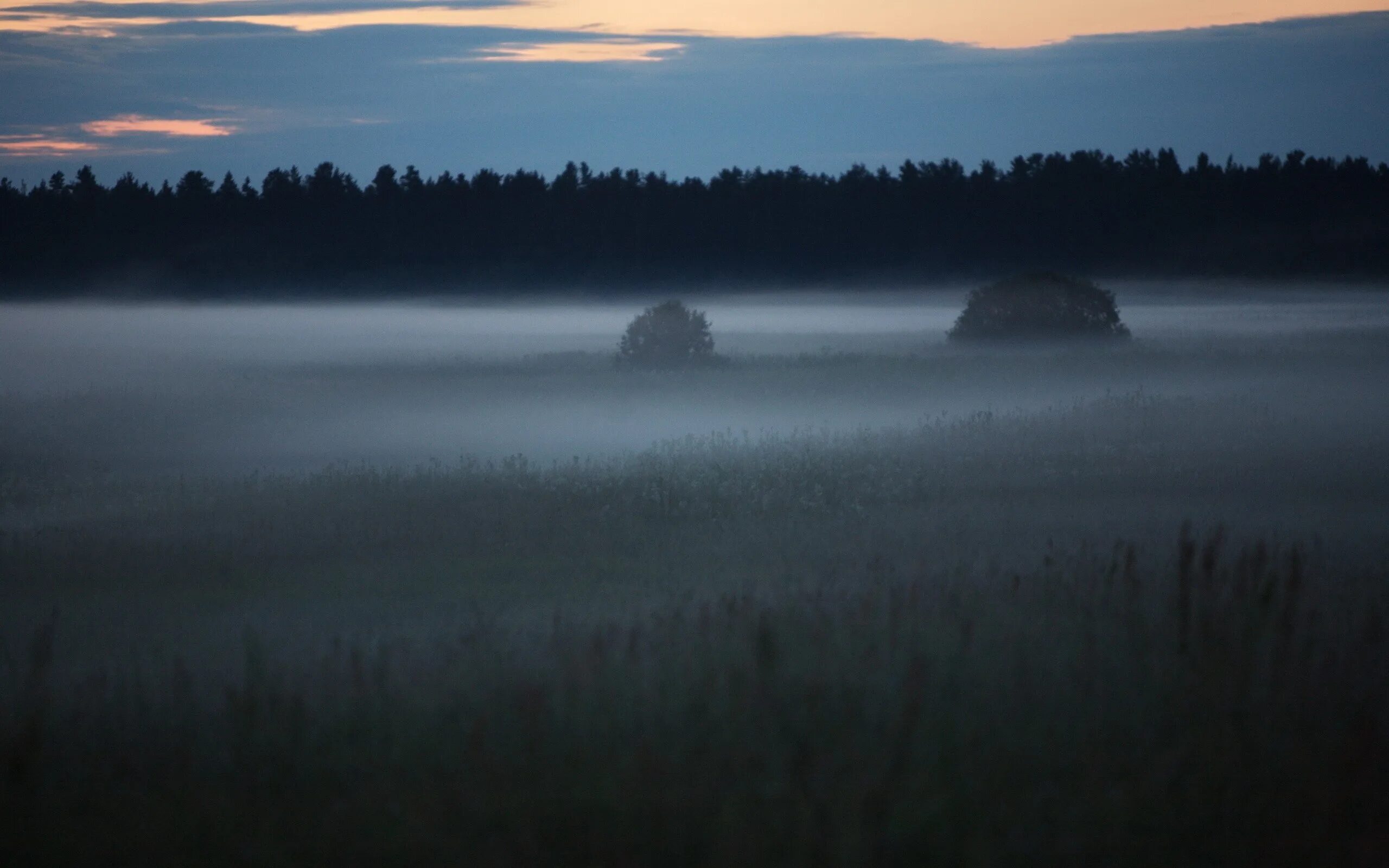 Окутывали поляны. Туманный пейзаж. Туман ночью. Туман в поле ночью. Ночное поле в тумане.