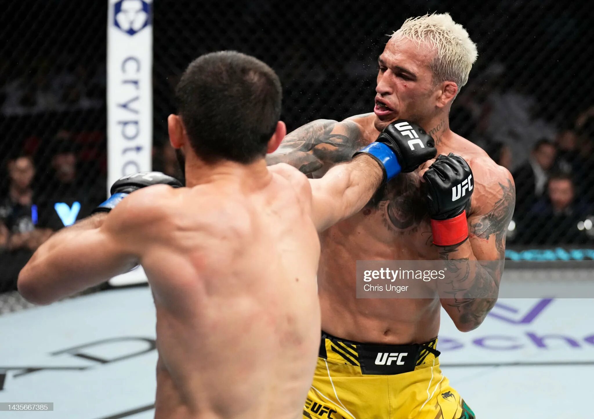 Махачев порье видео боя. Ufc махачев оливейра.