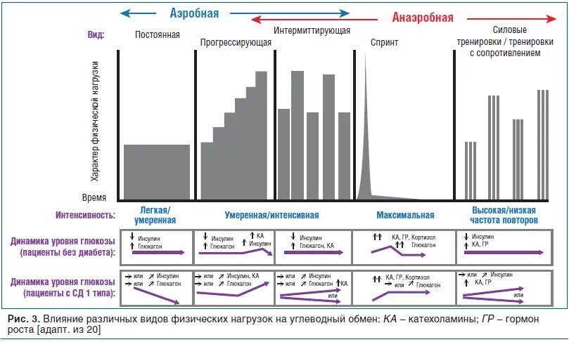 Частоты гормона роста. Инсулин при физической нагрузке. Инсулин и физические нагрузки. Изменения инсулина при физической нагрузке. Инсулин и физ нагрузка.