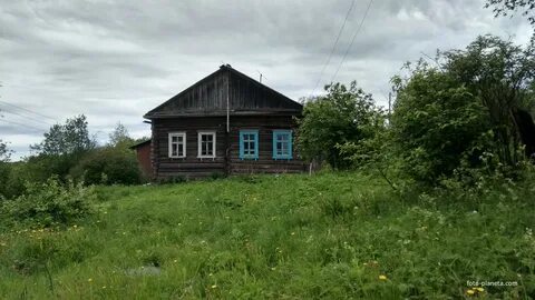 Погода в девятине