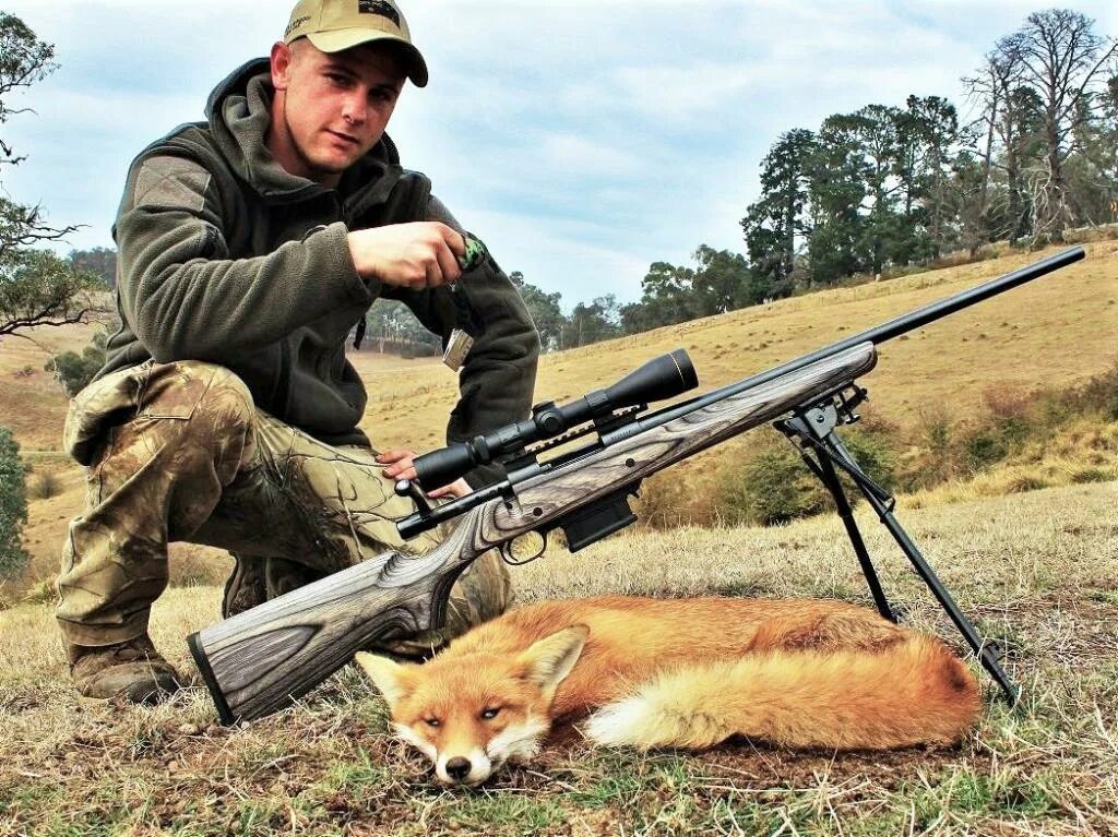 Фокс Хантинг. Современный охотник. Американский охотник. Американец охотник. Fox hunting