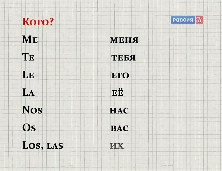 Итальянский язык для начинающих с нуля самоучитель. Испанский язык для начинающих с нуля. учить испанский язык с нуля. изучать испанский язык самостоятельно с нуля бесплатно. учим испанский язык с нуля самостоятельно.