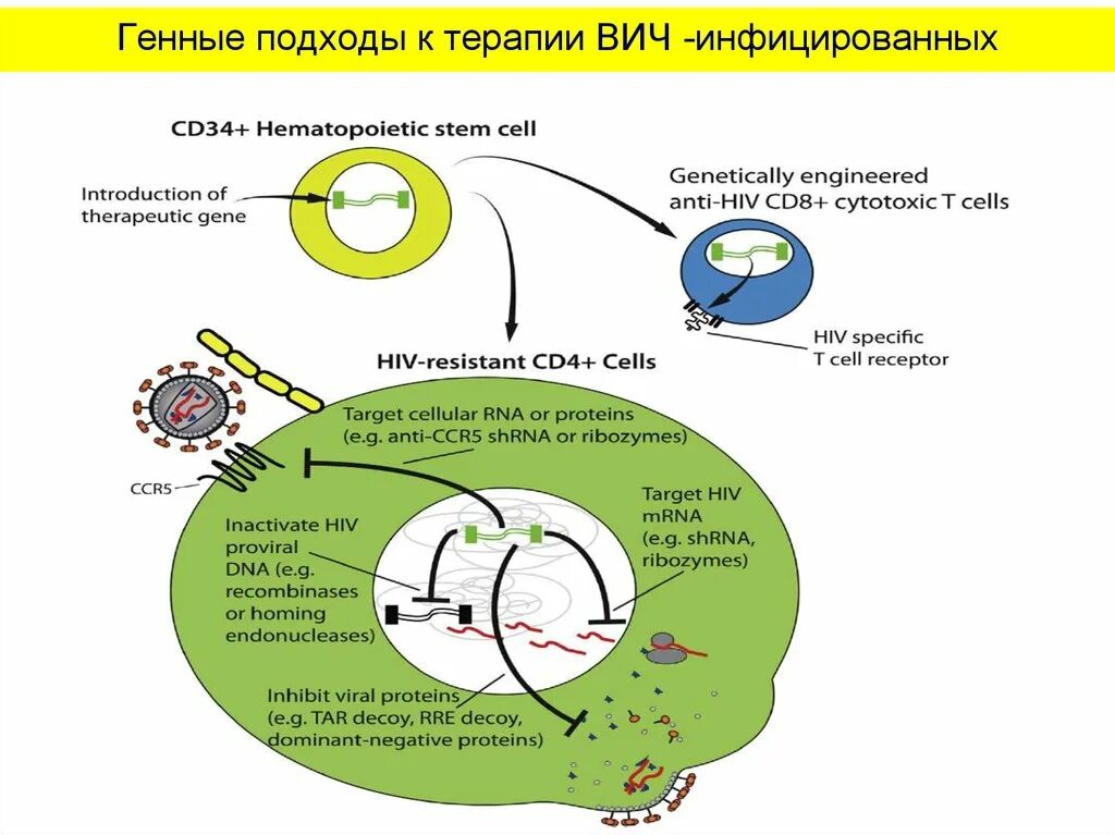 Вич терапия жизнь. Схемы антиретровирусной терапии. Подходы к лечению ВИЧ. Схемы ВИЧ терапии. Антиретровирусная терапия при ВИЧ схема.