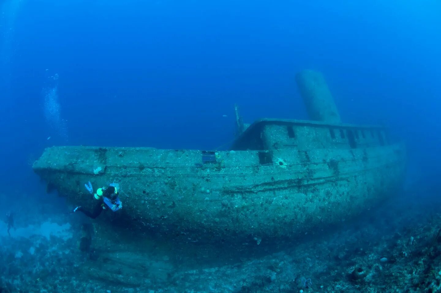 Тела на затонувших кораблях. Sunken ship перевод. Сокровища затонувших кораблей. Жизнь на дне океана. Затонувшие корабли.