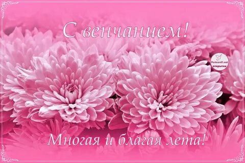 Года благая года благая
