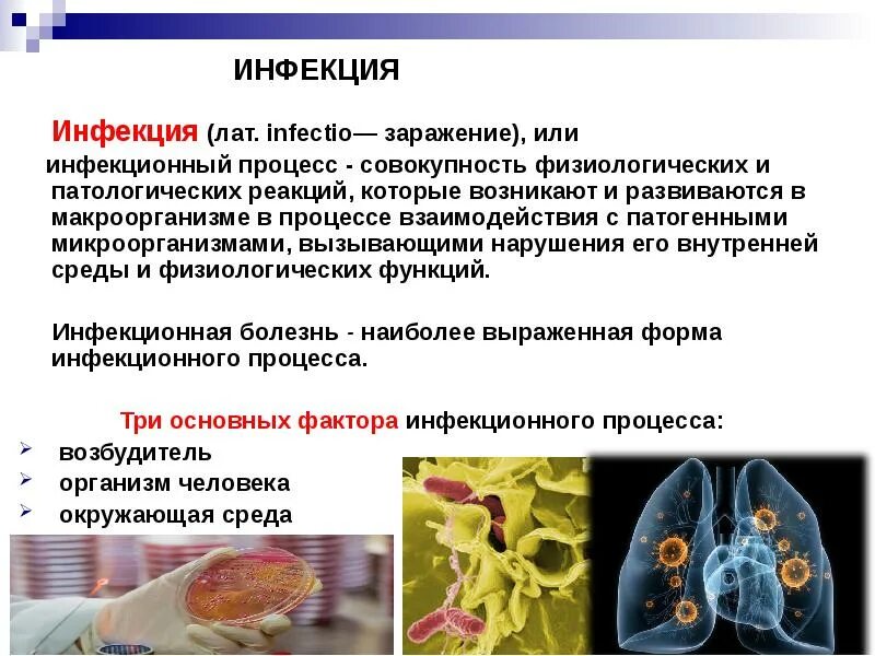 Инфекция это. Инфекция и инфекционный процесс. Учение об инфекции и иммунитете. Понятие об инфекции. Инфекция инфекционный процесс инфекционное заболевание.