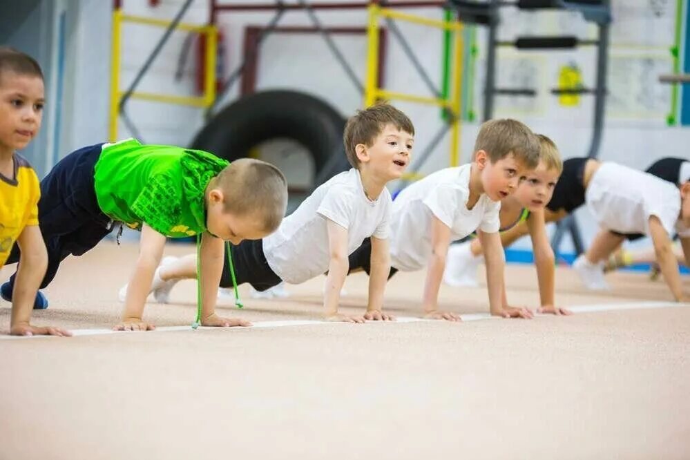Физическая подготовка детей. Секция общая физическая подготовка. Общая физическая подготовка офп это. Занятие спортом дети. Секция спортивной гимнастики.