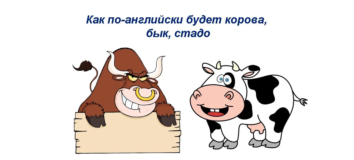 Kak po. Корова на английском. Бык по английски. Корова транскрипция. Как будет корова на английском.