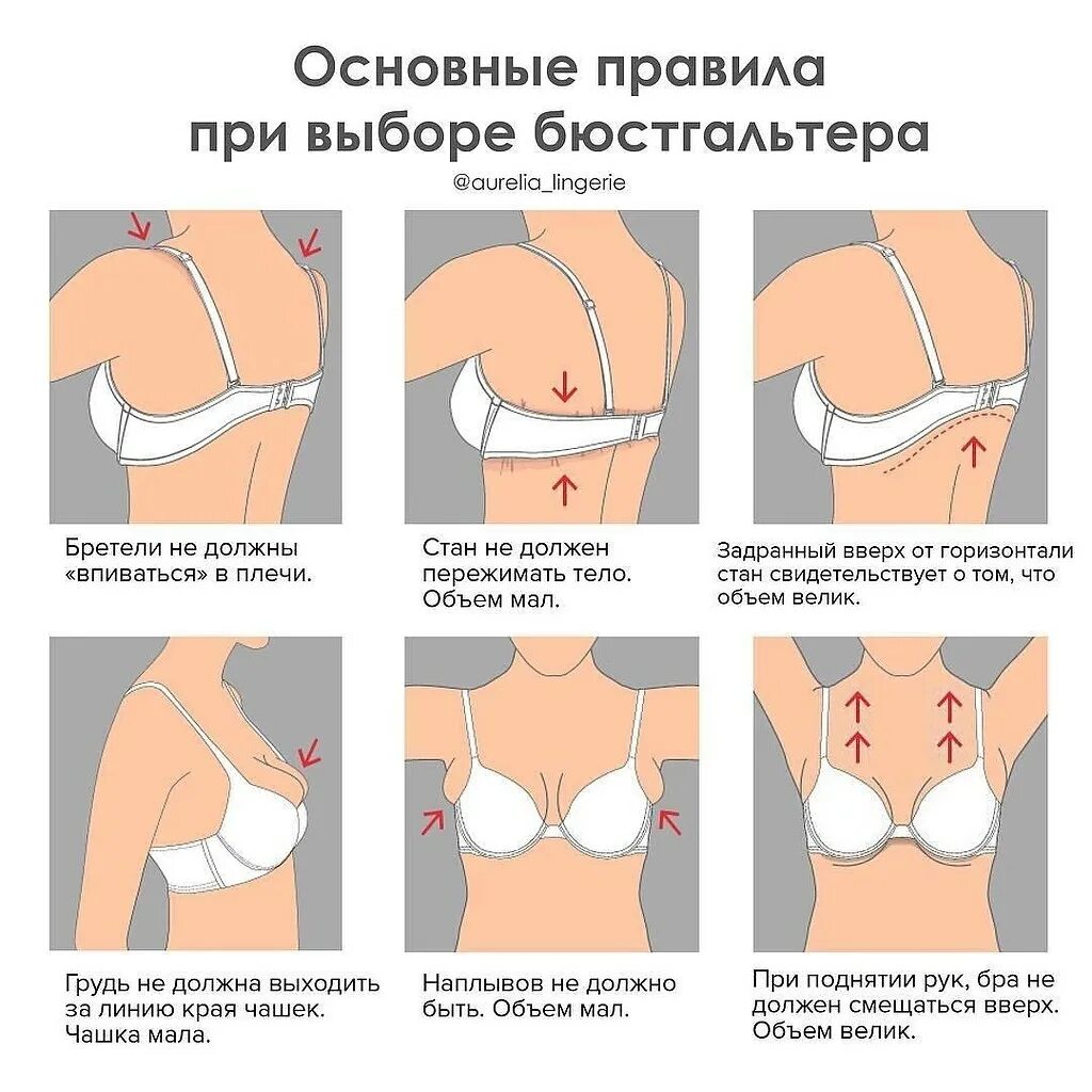 Как одеть бюстгальтер. Правильный бюстгальтер. правильная форма груди. грудь по размерам. правила подбора бюстгальтера.