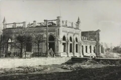 Красное село в великую отечественную
