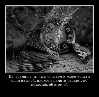 Время не лечит кофе покрепче