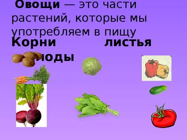 Части растений которые мы употребляем в пищу. Части растений которые употребляют в пищу. Части овощей которые употребляем в пищу. Плоды растений употребляемых в пищу.