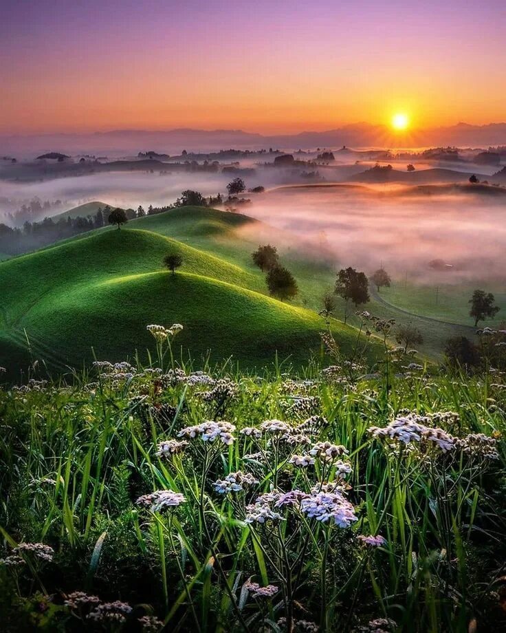 Красивые обои на пк. Пейзаж фото. Фон природа. Покой природа. Duzenlikler.