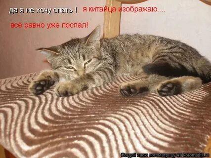 Есть работа тоже спим