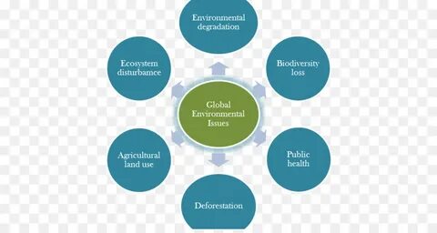 Environmental global