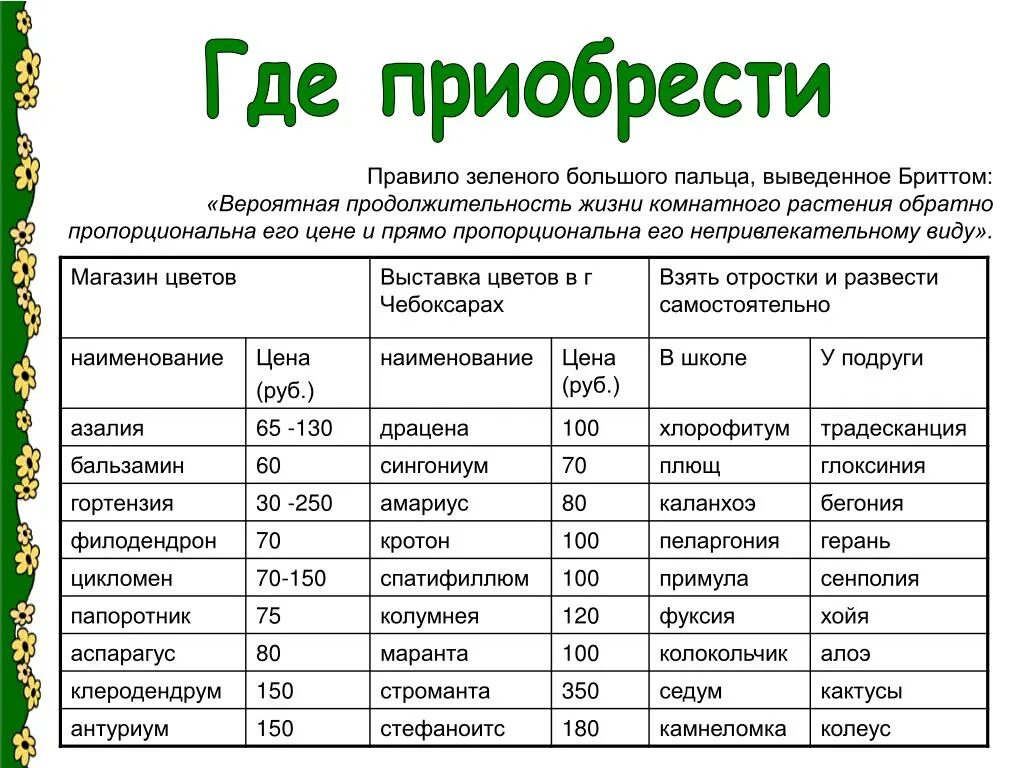 Зелено от какого слова. Продолжительность жизни комнатных растений таблица. Продолжительность жизни растений. Продолжительность жизни травы. Срок жизни растений.