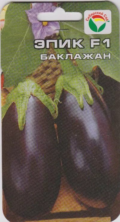 Эпик f1 семена баклажана. Баклажаны сорт эпик f1. Баклажаны сорт эпик f1. Баклажан эпик f1 10шт seminis/////. Эпик f1 семена баклажана.