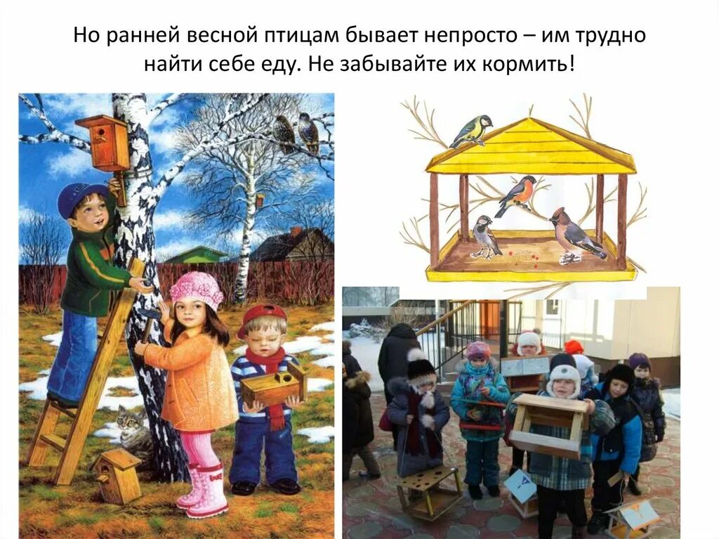 Тема встречаем птиц 1 младшая. Дети встречают весну. тема недели птицы весной.