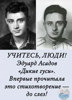 Гуси асадов