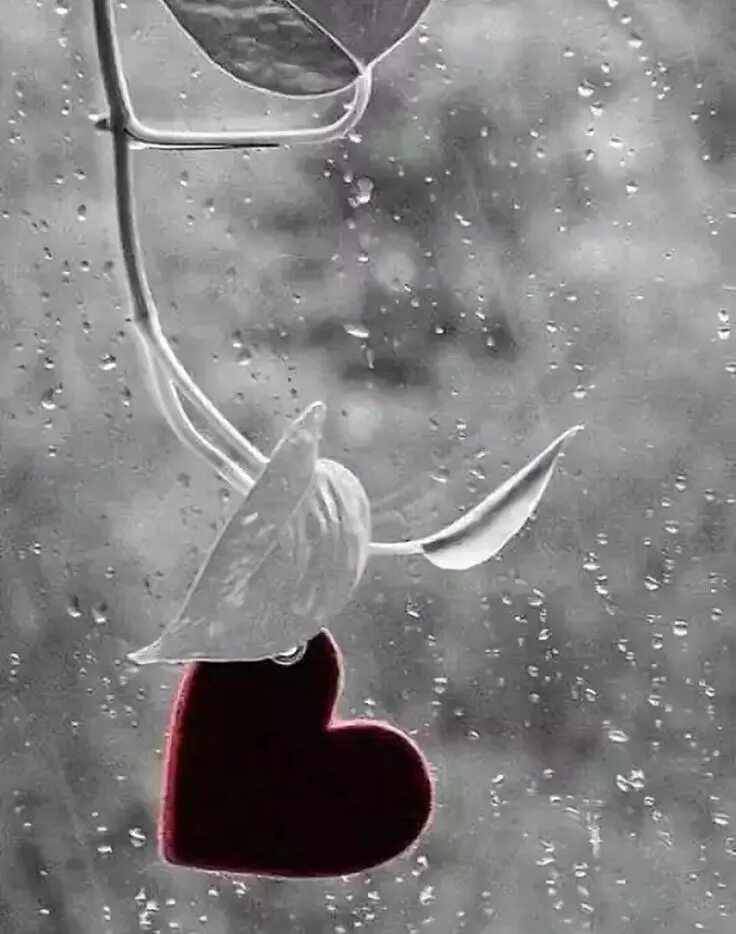 Дождь идет и в сердце. Сердечко на запотевшем стекле. Дождь за окном и там люди. Сердечки под дождем. Цветы грусти.