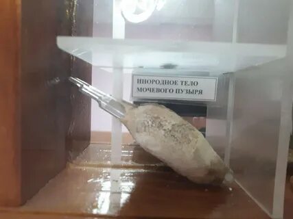 Соболево 25 екатеринбург