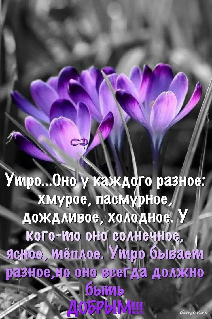 Доброе утро с мудрыми надписями. Добрые пожелания и высказывания. Добрые пожелания Мудрые высказывания. Мудрые поздравления с добрым утром. Мудрые пожелания с добрым утром красивые.