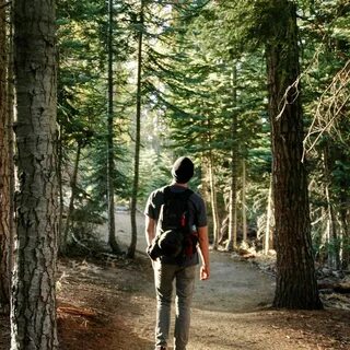 Wandering