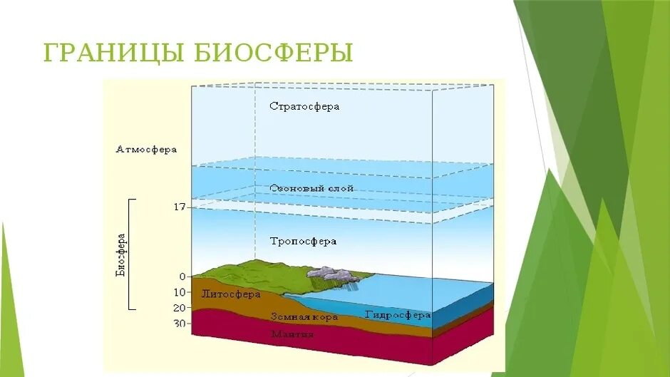 Нарисуйте схему границы биосферы география 6