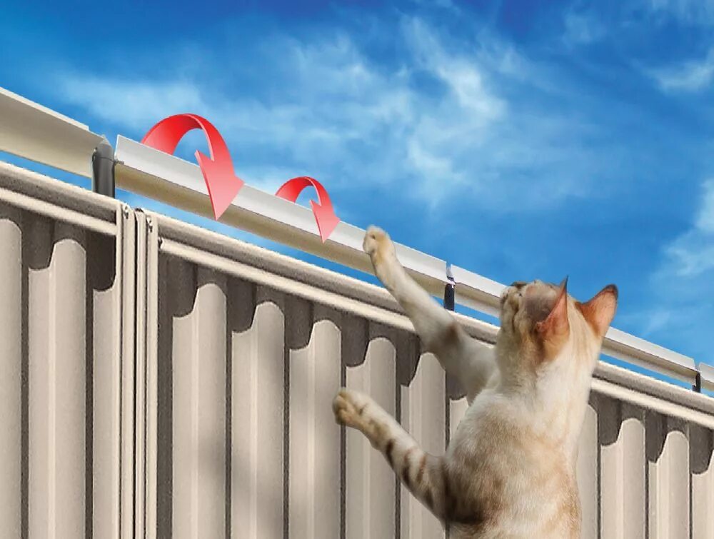 Антикот на забор. Кот на заборе. Ограждение от котов. Защита от кошек на забор.