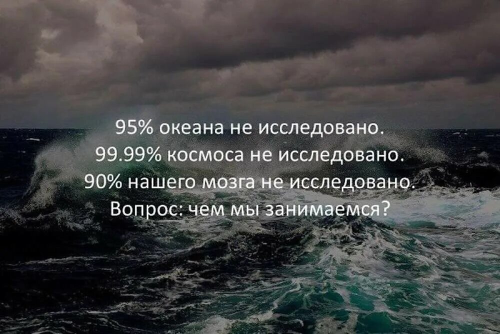 Сколько океанов изучено