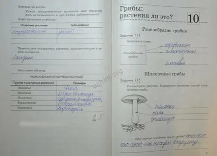 Конспект по естествознанию 5 класс