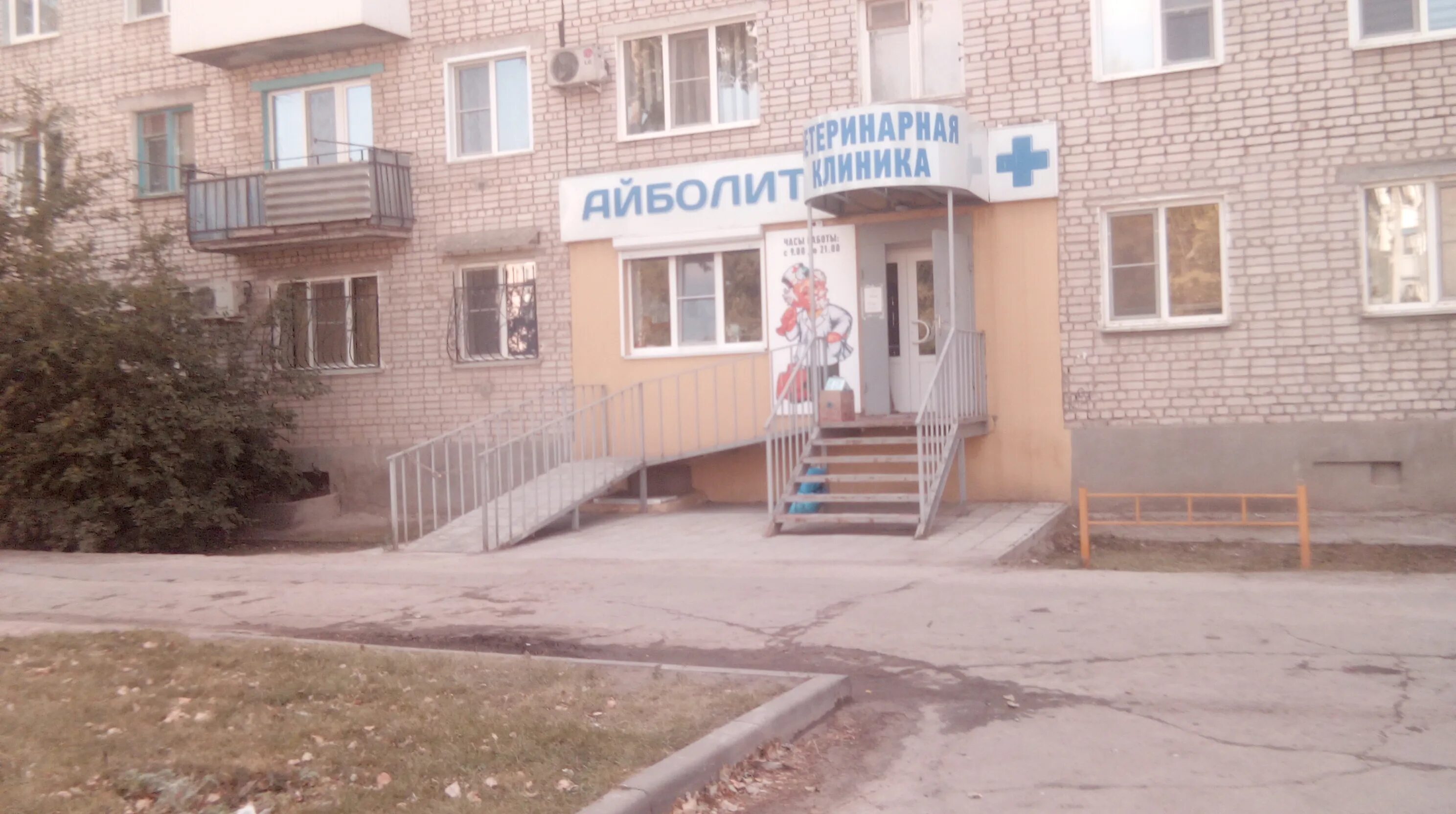 Ооо "айболит-2000". Циолковского 31 волгоград айболит. Айболит волгоград отзывы. Айболит волгоград отзывы. Айболит волгоград отзывы.