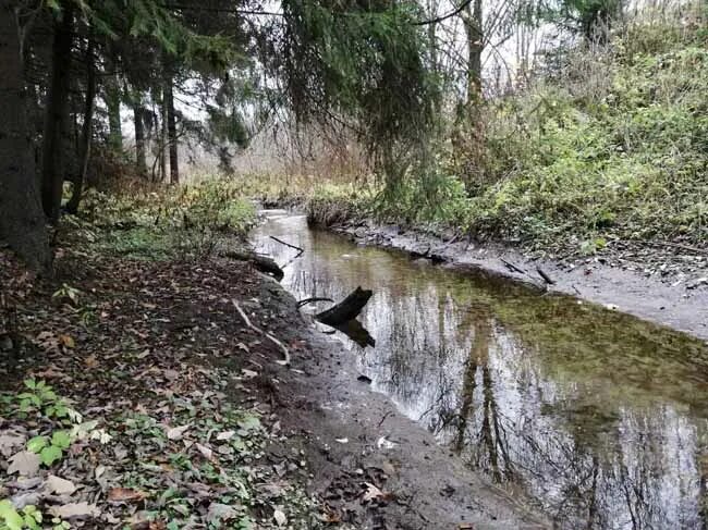 Речка ржавка в нижнем новгороде. Река ржавка. Река ватома нижегородская область. Река ржавка. Река ржавка зеленоград.