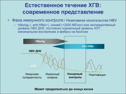 Закон течения жизни