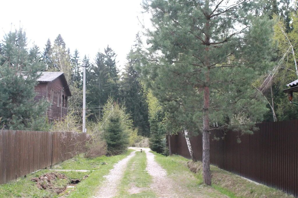 Поселок березки солнечногорский район. Дача в подмосковье. Софрино дача пушкинский район. Три жеребенка коттеджный поселок. Дача рядом со станцией.