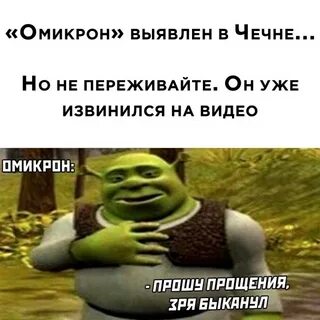 Извини зря быканул