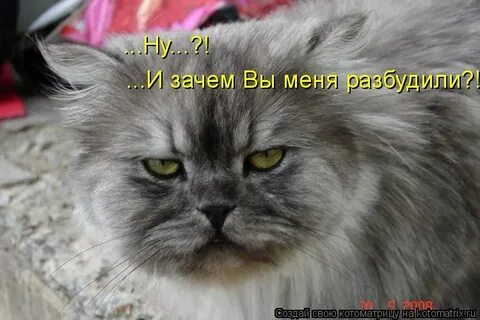 Зачем я вам не понимаю