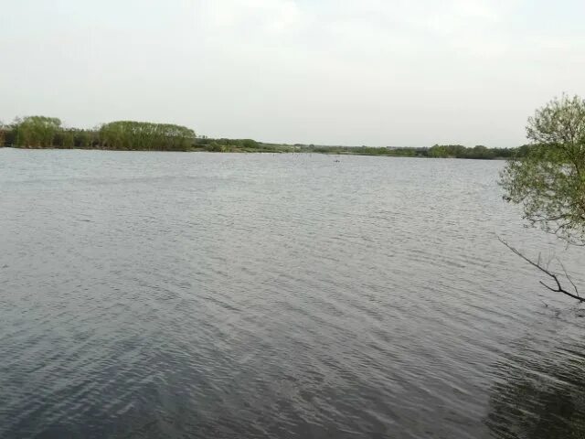 Село волостниковка ульяновская. Пруд волостниковка ульяновский. волостниковка пруд ульяновск платный. волостниковка ульяновск озеро. протопоповка пруд ульяновская.