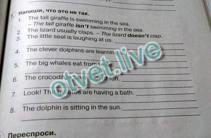 The little seal is laughing at us. Напиши что это не так the Tall Giraffe is swimming in the Sea ответ. Переспроси 1 the Baby Hippo is Learning to Run. Переспроси the Baby Hippo is Learning. Напиши что это не так the Tall Giraffe.