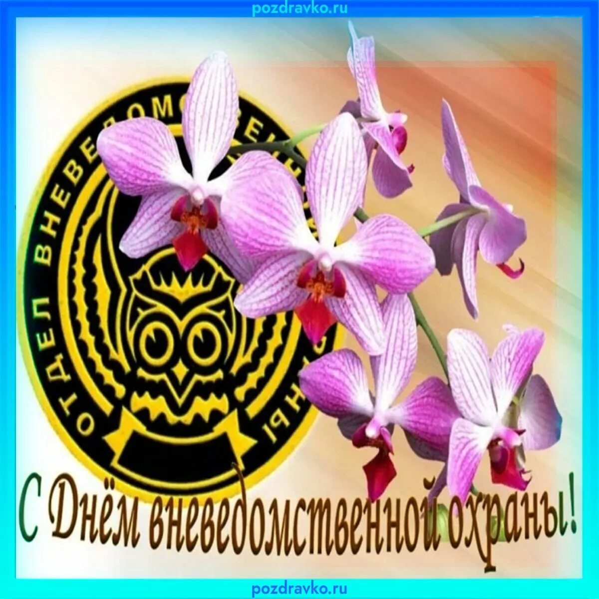 День охраны в россии какого числа. С днем вневедомственной охраны. С днем вневедомственной охраны открытки. С днем вневедомственной охраны поздравления. День вневедомственной охраны 2023.