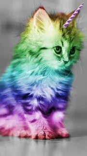 Кошка ярко