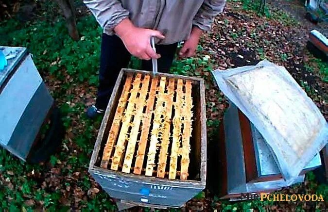 При какой температуре обрабатывать пчел. Обработка пчел бипином. обработка пчелосемей бипином. обработка ульев шприц. пластины для улья.